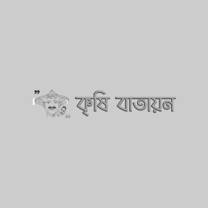 বারি সূর্যমুখী ২