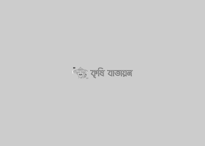 সেচ কলস পদ্ধতিতে সবজি উৎপাদন